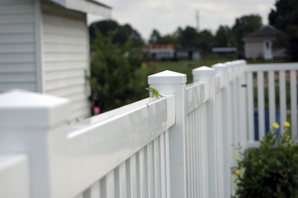 Vinyl Fence Installation Services