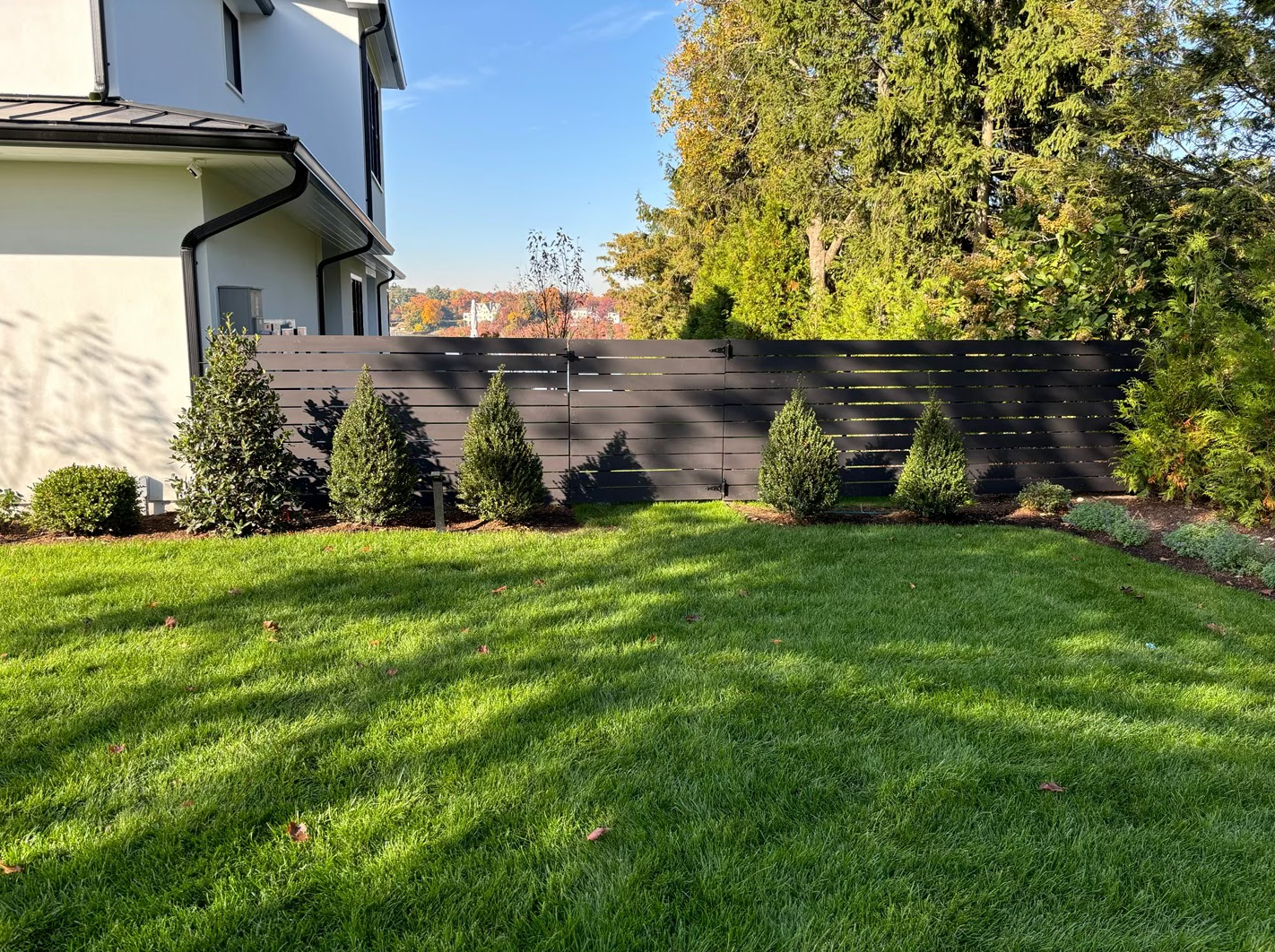 Brown Fence